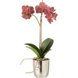 J-line - Orchidee In Pot Plastiek/cement Donker Roze/zilver - 23x23x50cm