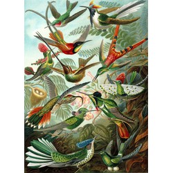 ESTAhome fotobehang vogels tropisch junglegroen - 2 x 2,79 m - 158954