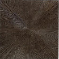 PTMD Wandpaneel Zapp - 90x2x90 cm - Hout - Bruin