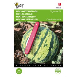 Mini-Watermeloen Tigrimini - Buzzy