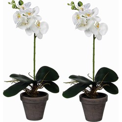 2x stuks phalaenopsis Orchidee kunstplanten wit in grijze pot H48 x D13 cm - Kunstplanten