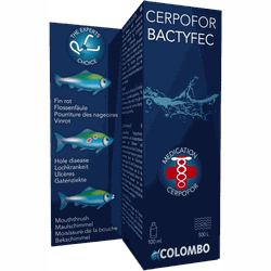 Cerpofor Bactyfec 100 Ml-500 Liter vijver