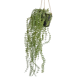 Hoyz Greenery - Kunst hangplant Pumila 81 cm in pot