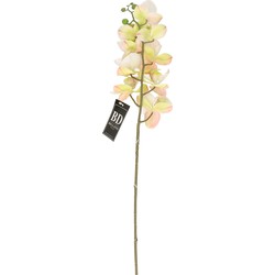 Bellatio Design Kunstbloem Orchidee Bora - wit - 77 cm - zijde - Kunstbloemen