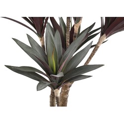 PTMD Yucca Kunstplant - 62 x 40 x 92 cm  - Kunststof - Rood