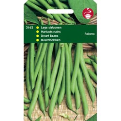 5 stuks - Stamslabonen Paloma 100 gram - Tuinplus