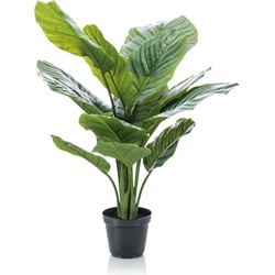 Kunstplant - Calathea Orbifolia - Schaduwplant Supreme 60 cm | NeverLeafs