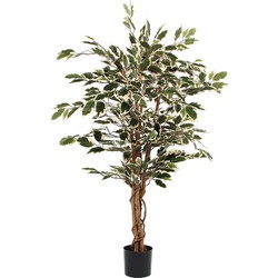 Mica Decorations Ficus Kunstplant - H110 x Ø70 cm - Groen Bont