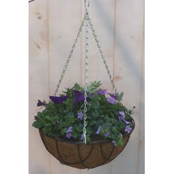 Diverse hangplantjes in kokos hanging basket van paar en blauw