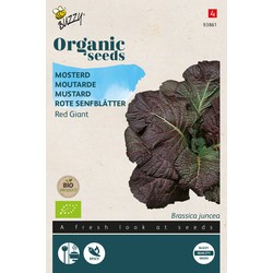 Organic Mosterd Red Giant (BIO) - Buzzy