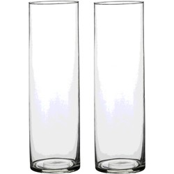 2x Ronde glazen cilinder vaas/vazen transparant 30 cm lang - Vazen