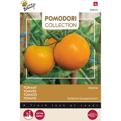 3 stuks - Saatgut Pomodori Arancia - Buzzy