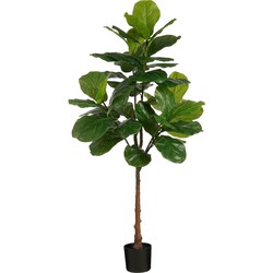 Mica Decorations Kunstplant Ficus - 60x60x182 cm - Polypropyleen - Groen