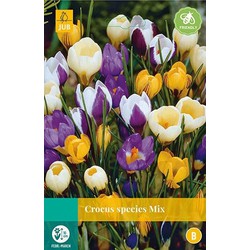 5 stuks - Crocus species mix 15 bollen