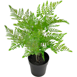 Hoyz Greenery - Kunstplant Varen 35 cm