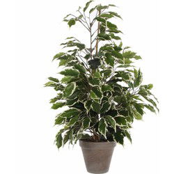 Mica Decorations Kunstplant Ficus - groen/wit - 65 cm - binnen - Kunstplanten