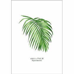Palm Leaf (29,7x42cm)