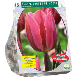 Tulipa Pretty Princess per 15 bloembollen