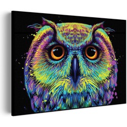 Muurwerken Akoestisch Schilderij - Colored Owl 01 - Geluidsdempend Wandpaneel - Wanddecoratie - Geluidsisolatie - PRO (AW 0.90) M (85X60)