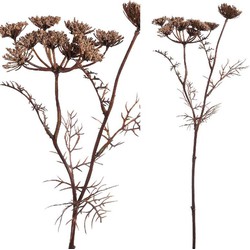 PTMD Twig Plant Wilde Peen Kunsttak - 21 x 10 x 43,5 cm - Bruin