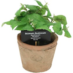 Esschert Design Kunstplant/kruiden basilicum - in oude terracotta pot - 18 cm - kruiden - Kunstplanten