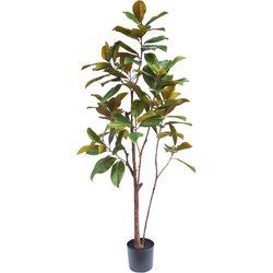 Greenmoods Yulaniaboom - Nep plant - 1 Stuk - 180cm - Groen-