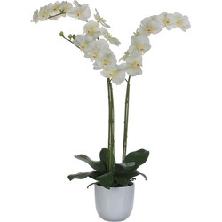 Mica Decorations Phalaenopsis Kunstplant in Pot - 65x45x72 cm - Wit