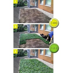 Plantenmat vasteplanten Vetkruid Sedum prijs per 1m2 cm Covergreen - Covergreen