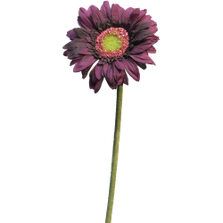 Daisy gerbera aubergine 48 cm kunstbloem