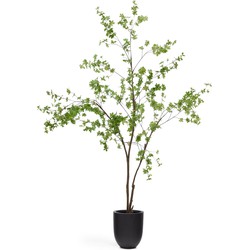 Kave Home - Enkianthus-kunstboom met zwarte pot 214 cm