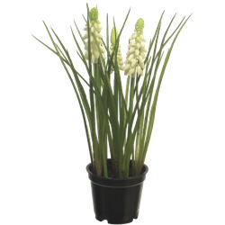 Muscari x3 with black pot cream 23 cm kunstbloem