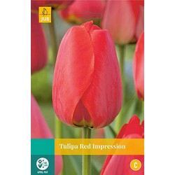 3 stuks - Tulipa Red Impression 8 bollen