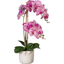 Kopu® Kunstbloem Orchidee 60 cm Roze -  cement Sierpot - Phalenopsis