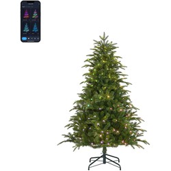 Black Box Trees Slimme Verlichting Kerstboom - 119x119x185 cm - Groen