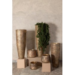 PTMD Bloempot Simona - 31x31x22 cm - Ijzer - Goud
