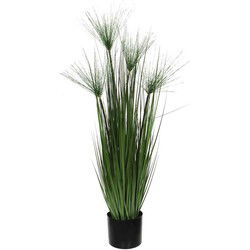Mica Decorations papyrus in plastic pot maat in cm: 102 x 15