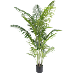 Greenmoods Phoenix - Nep plant - 1 Stuk - 200cm - Groen-