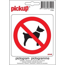 Pictogram 10 x 10 cm - Pickup