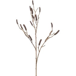 Callistemon branch brown 118 cm