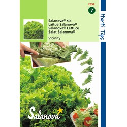 2 stuks - Salanova Samen - Vincinity (grün) - Hortitops