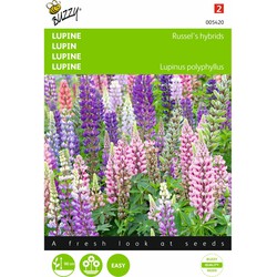 2 stuks - Lupinus polyphyllus Russell s Hybriden Gemengd