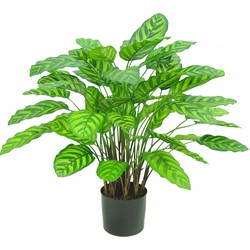 Kunstplant Calathea Makoyana Deluxe 75 cm | NeverLeafs