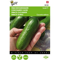 5 stuks - Komkommers Snack Iznik F1 Tuinplus - Buzzy