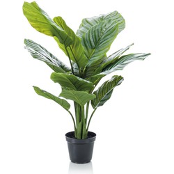 Kunstplant - Calathea Orbifolia - Schaduwplant Supreme 60 cm | NeverLeafs