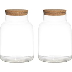 Set van 2x stuks glazen voorraadpotten/snoeppotten vazen van 17.5 x 25 cm met kurk dop - Voorraadpot