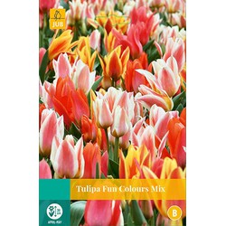 Tulipa Fun Colours, 5 bloembollen