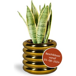 Bloempot voor Binnen - Keramiek Glazed - Goud - Ø 17,5 cm