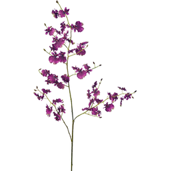 Kunstpaarse oncidium orchideestam H140