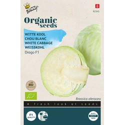 Organic Witte Kool Drago F1 (BIO)