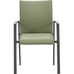 Dallas dining fauteuil carbon black/ moss green